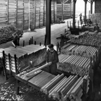Logs in Warehouse